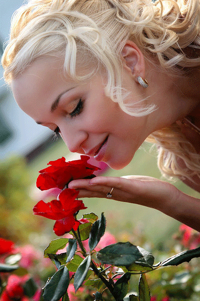 Imágenes Animadas con Flores Rojas.